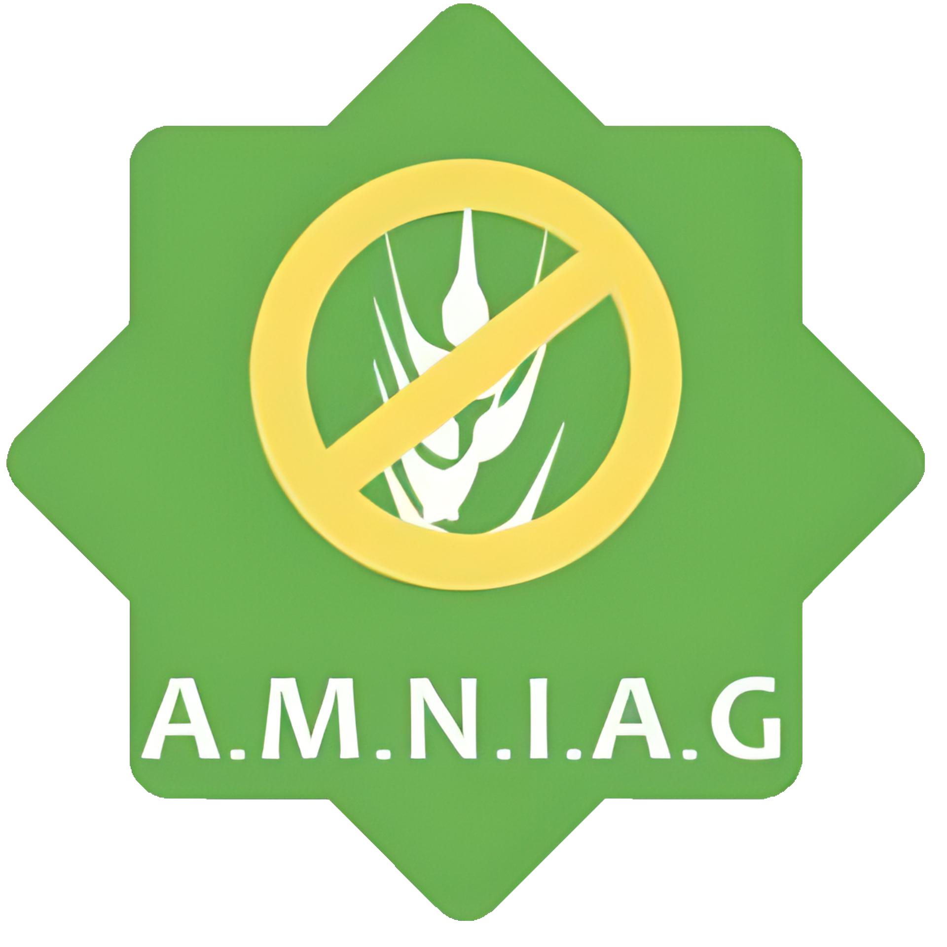 AMNIAG – Association Marocaine Nord des Intolérants et Allergiques au Gluten
